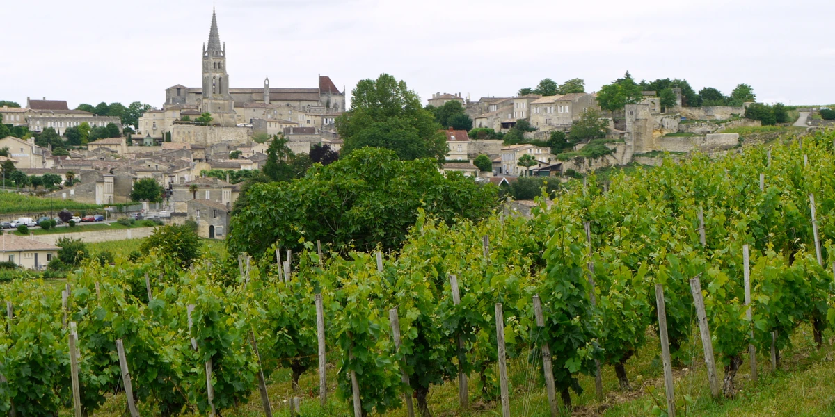 Paysage de Nouvelle-Aquitaine : le village de Saint-Émilion et son vignoble